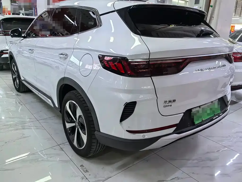 BYD PLUS New Energy 2021 из CN, фото 10