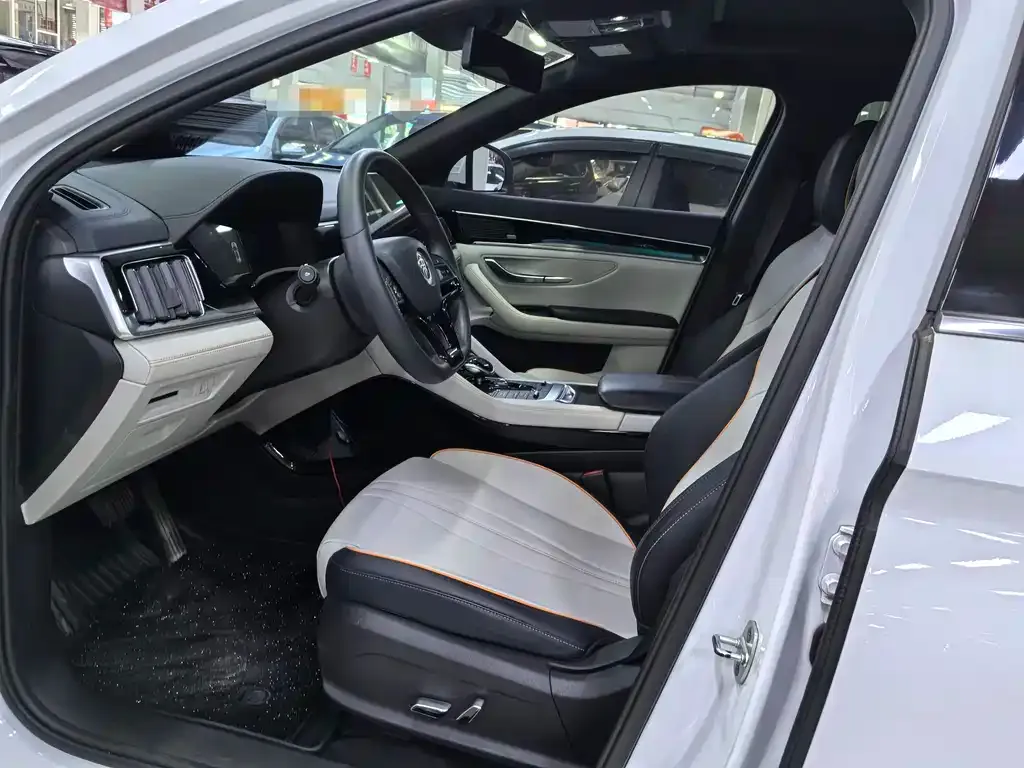BYD PLUS New Energy 2021 из CN, фото 9