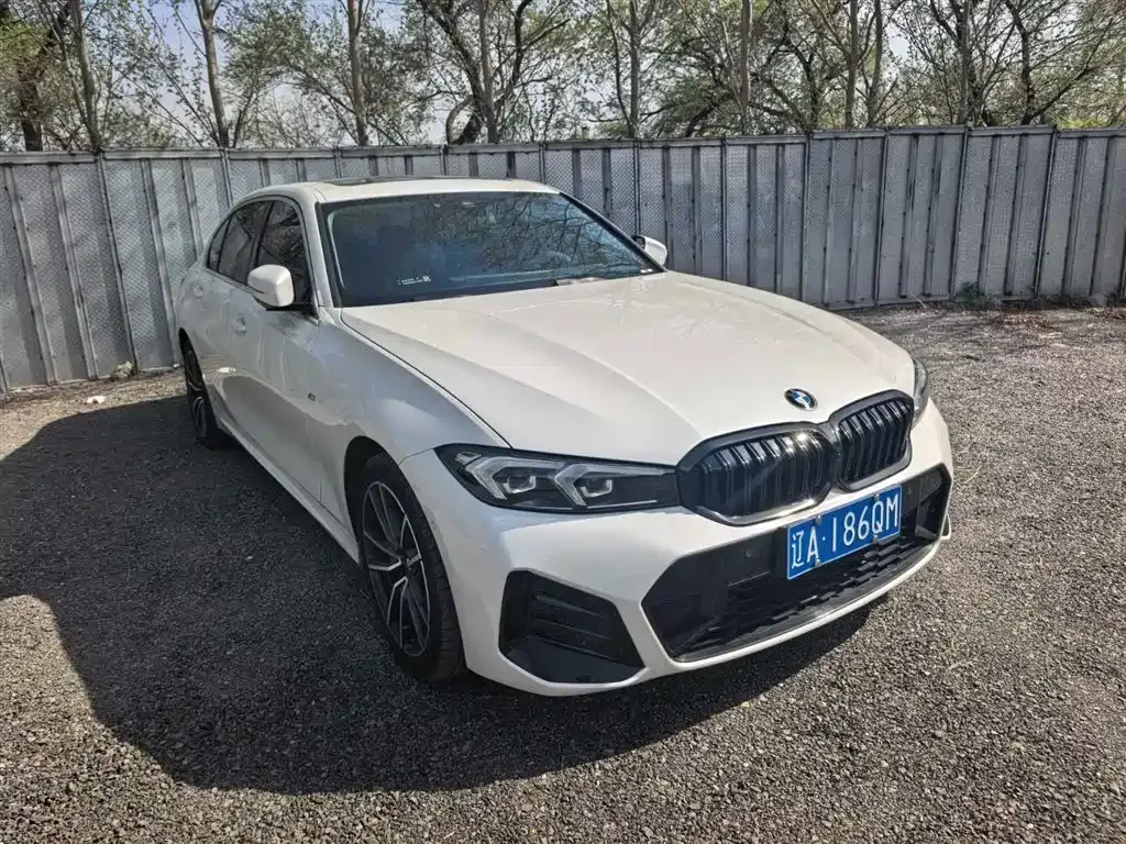 BMW 3 Series 2024 из CN, фото 10