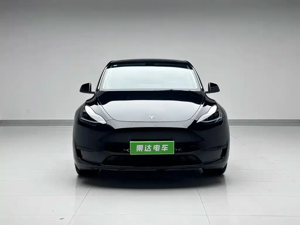 Tesla Model Y — фото 5