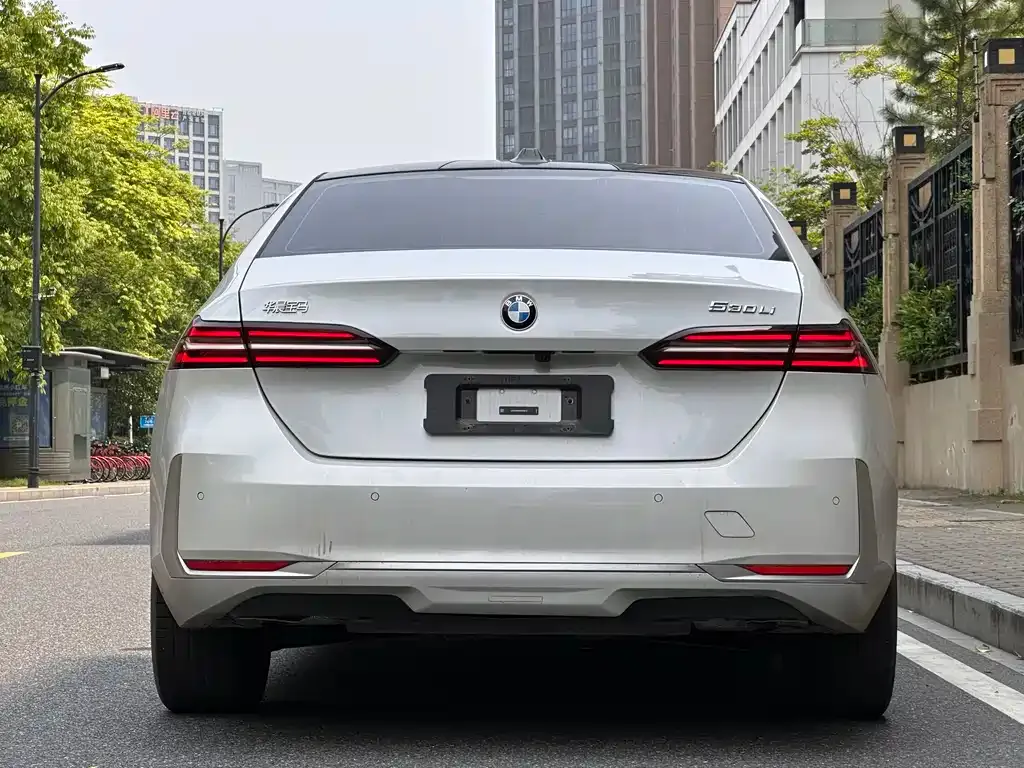 BMW 5 Series 2024 из CN, фото 2