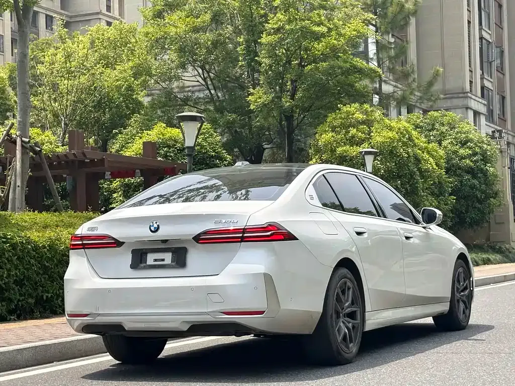 BMW 5 Series 2024 из CN, фото 6