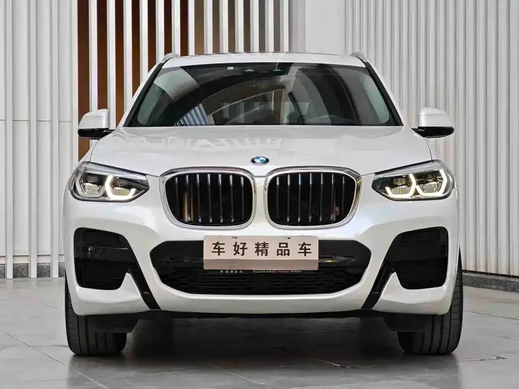 BMW X3 2021 из CN, фото 6