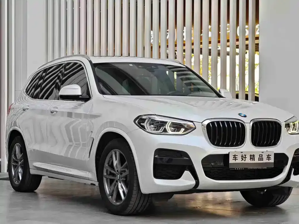 BMW X3 2021 из CN, фото 8