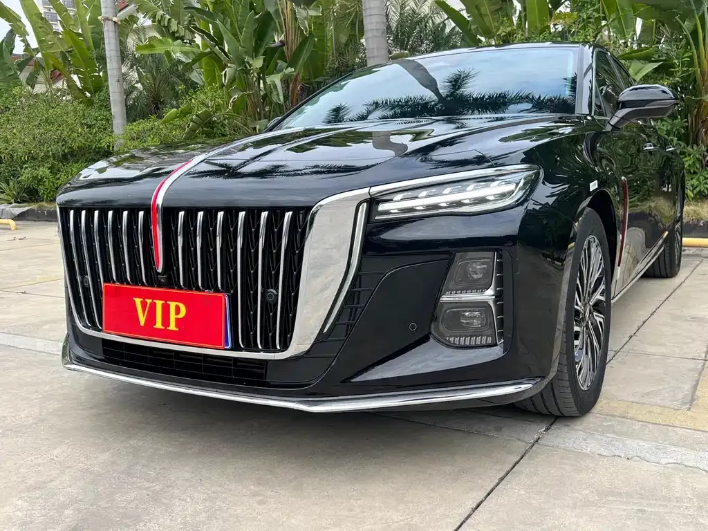 Hongqi H5 2023 из CN, фото 1