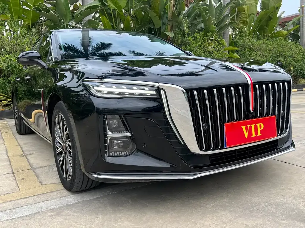 Hongqi H5 2023 из CN, фото 10