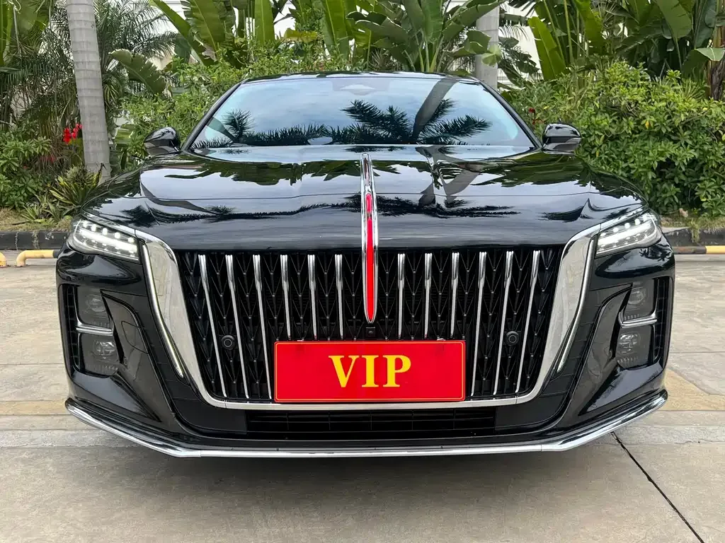 Hongqi H5 2023 из CN, фото 6