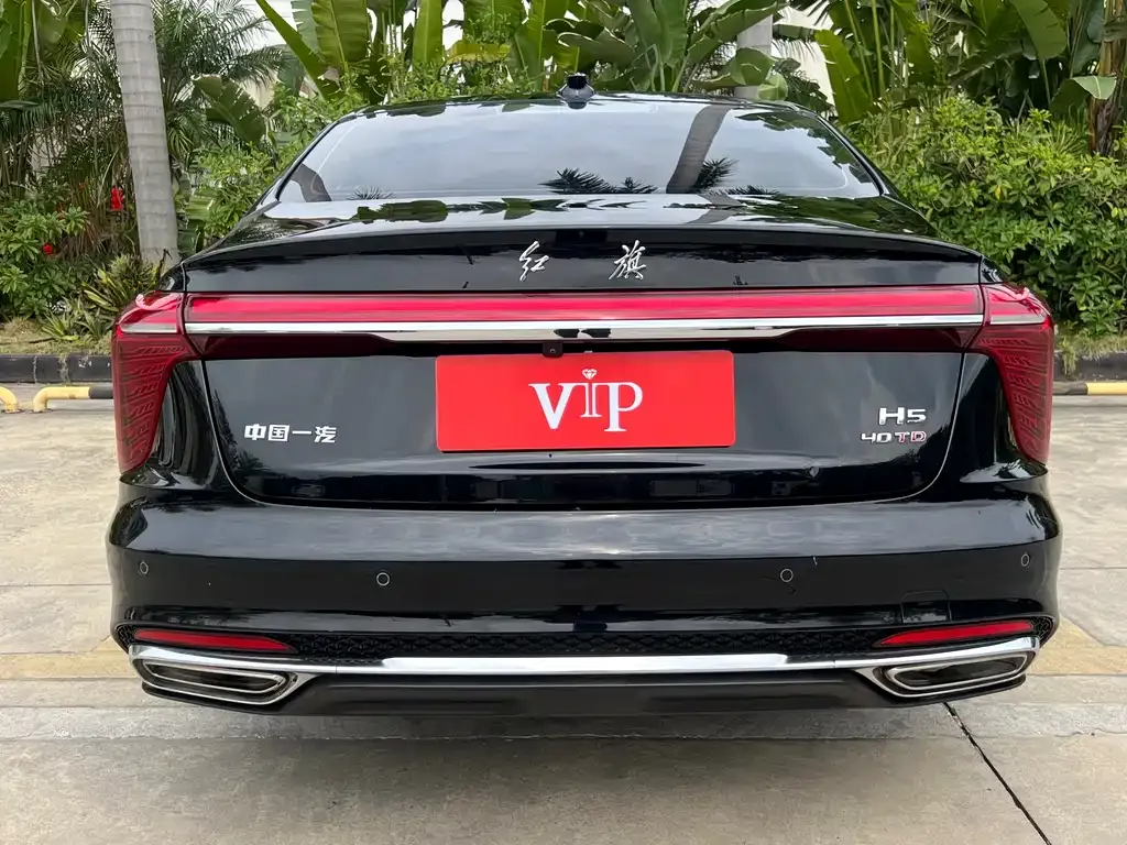 Hongqi H5 2023 из CN, фото 2