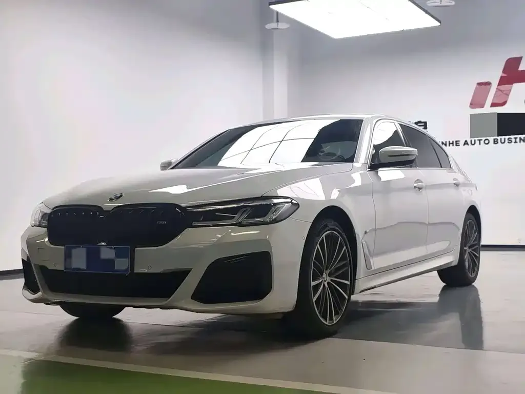 BMW 5 Series 2021 из CN, фото 1