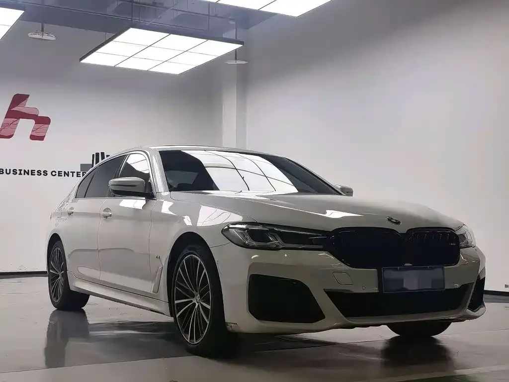 BMW 5 Series 2021 из CN, фото 6