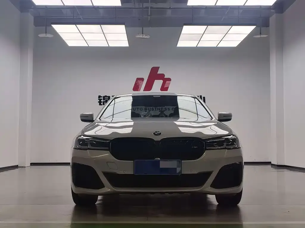 BMW 5 Series 2021 из CN, фото 5