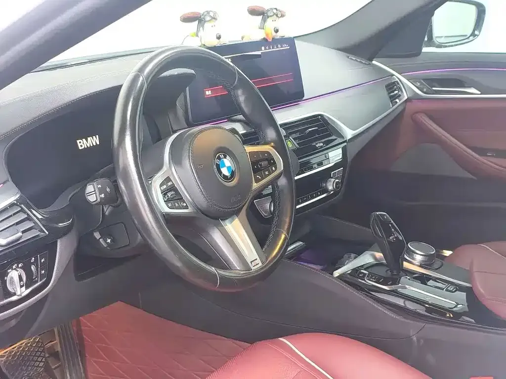 BMW 5 Series 2021 из CN, фото 9