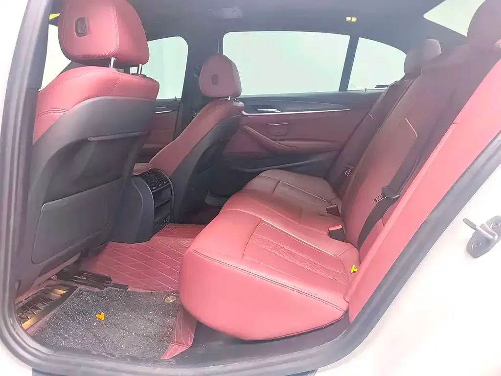 BMW 5 Series 2021 из CN, фото 7