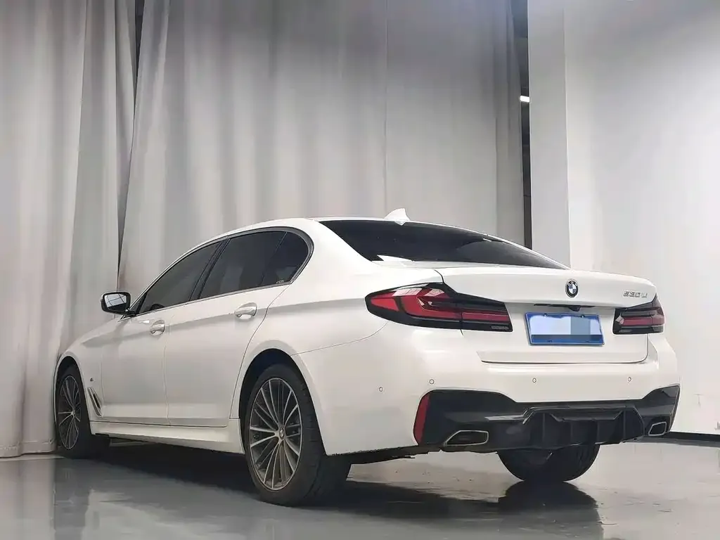 BMW 5 Series 2021 из CN, фото 4