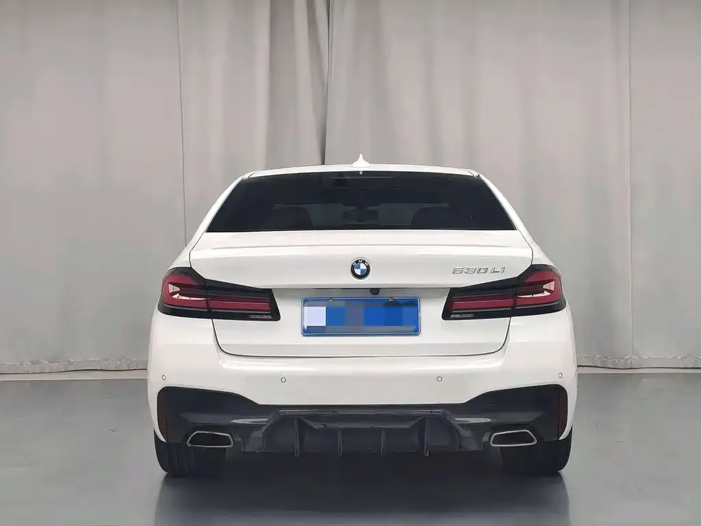 BMW 5 Series 2021 из CN, фото 3