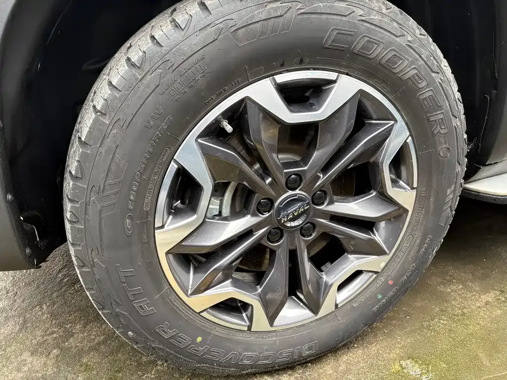Haval Big Dog — фото 10