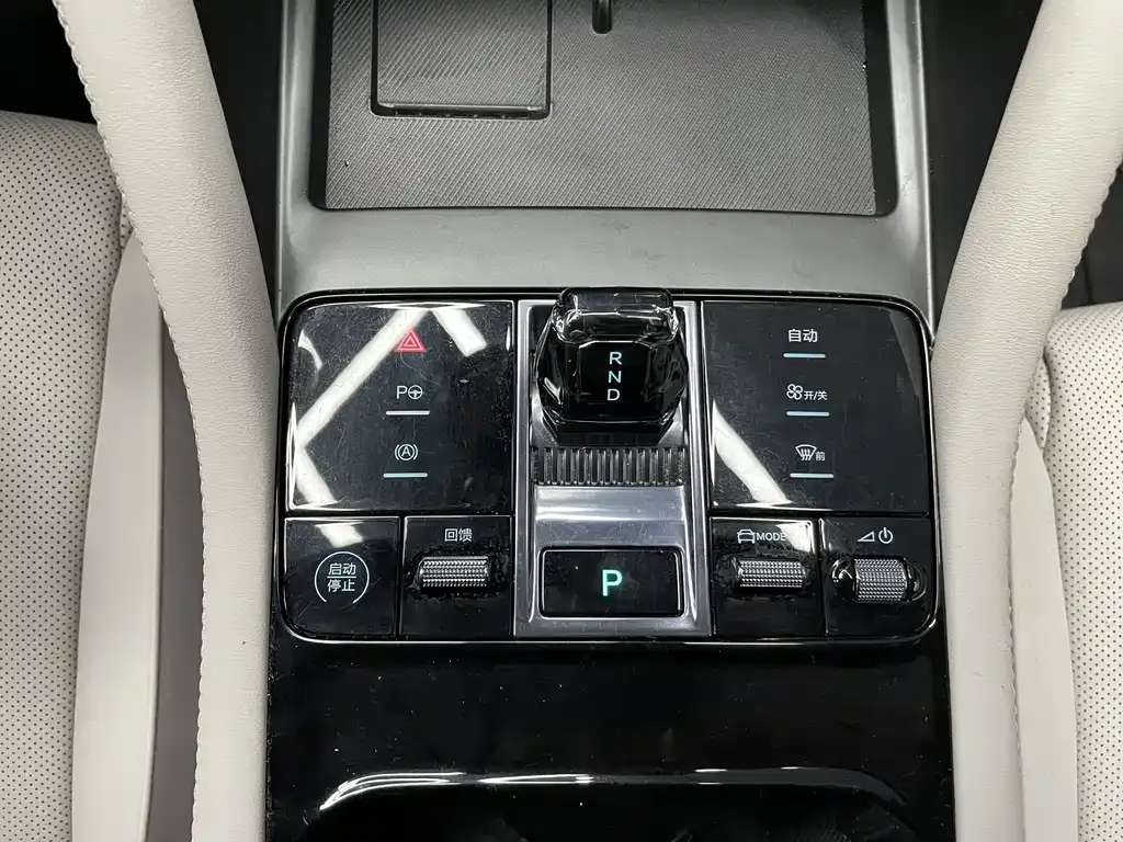 BYD PLUS New Energy — фото 10