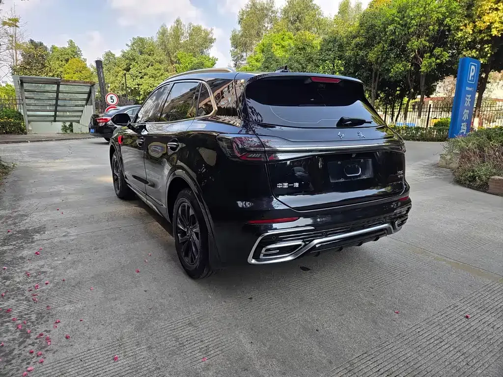 Hongqi HS5 2023 из CN, фото 10