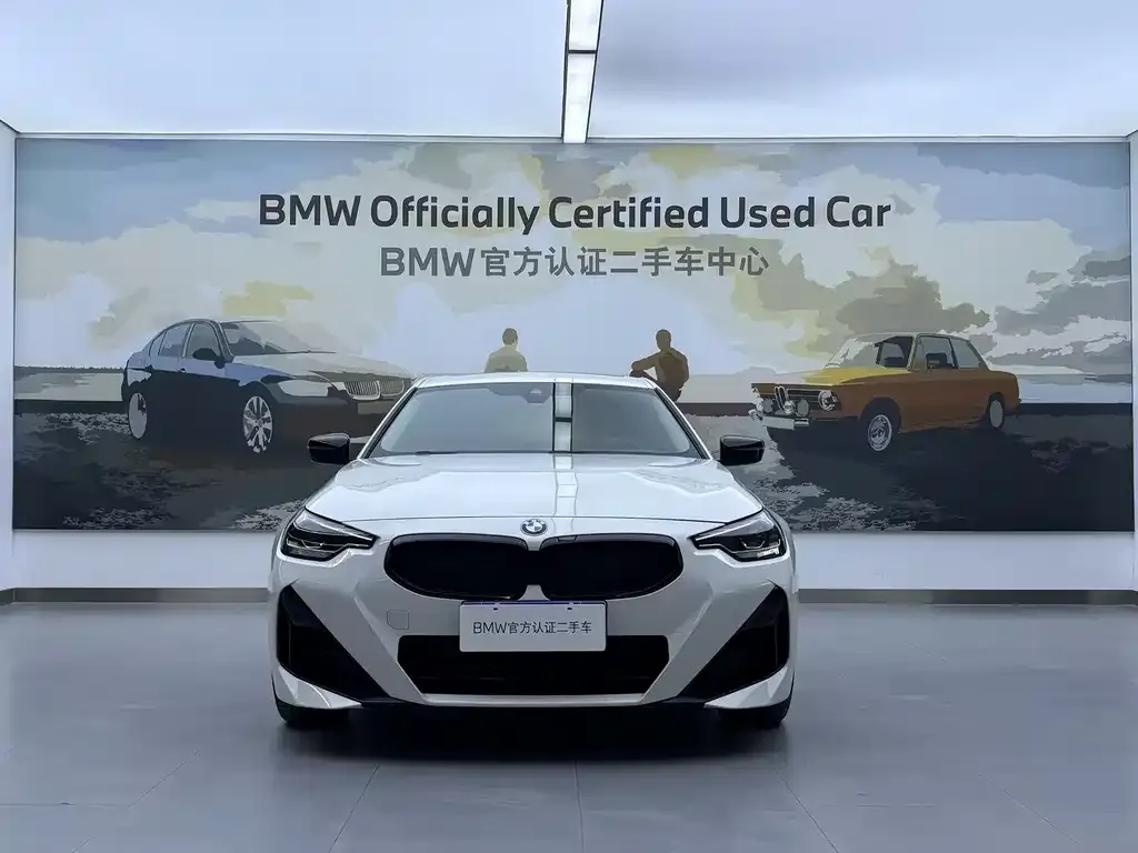 BMW 2 Series (Import) 2024 из CN, фото 10