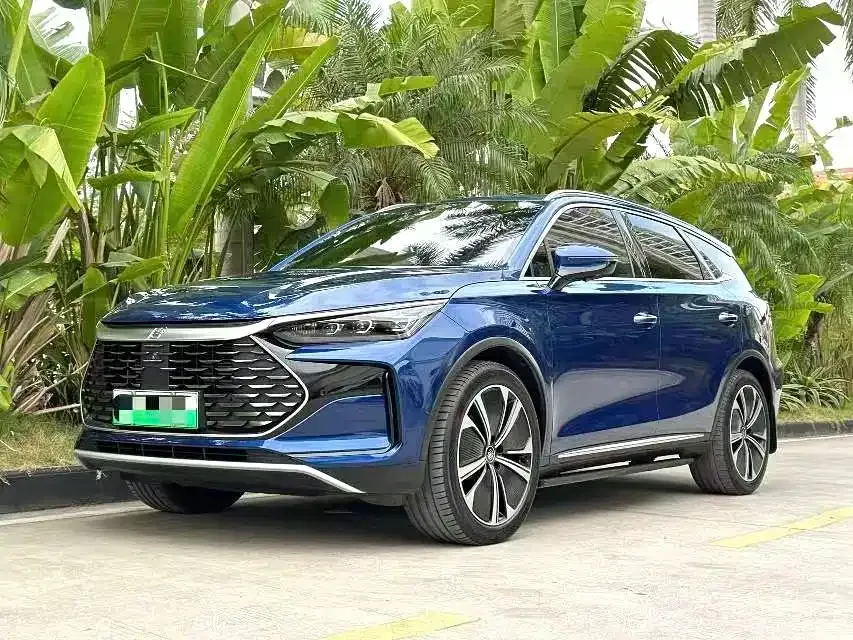 BYD Tang New Energy 2023 из CN, фото 1