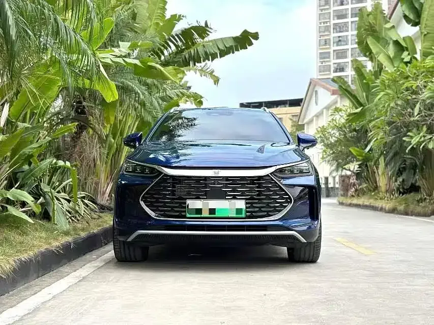 BYD Tang New Energy 2023 из CN, фото 2
