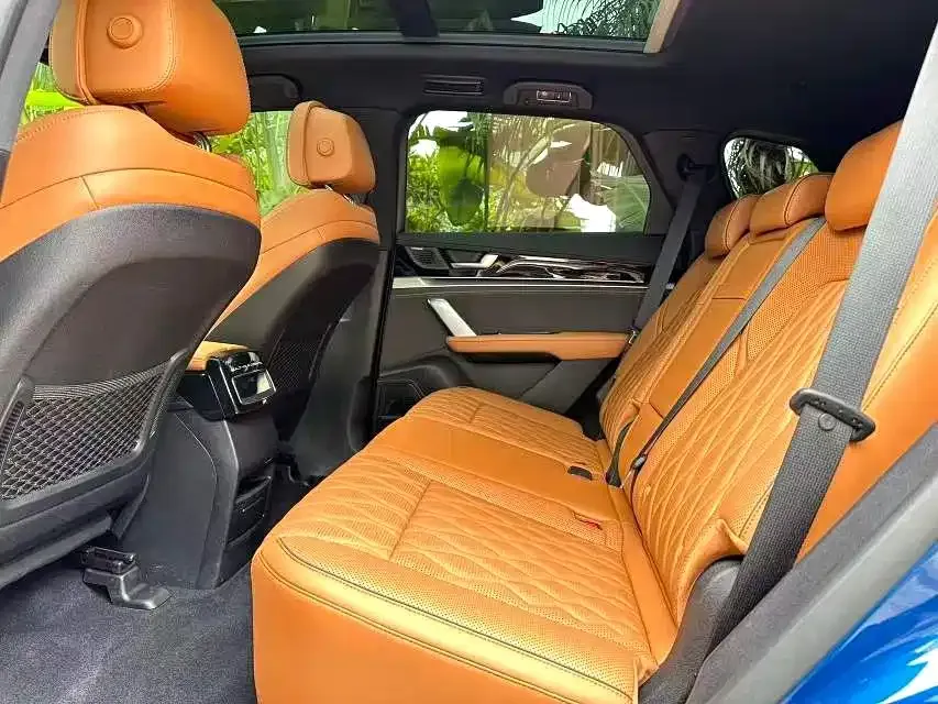 BYD Tang New Energy 2023 из CN, фото 4