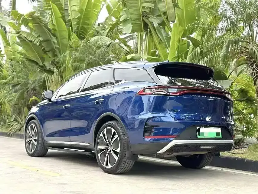 BYD Tang New Energy 2023 из CN, фото 5