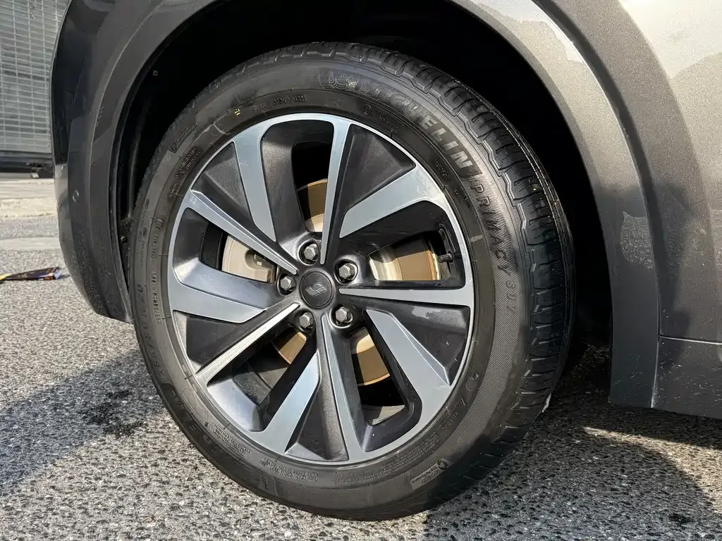 Li Auto ONE 2022 из CN, фото 4
