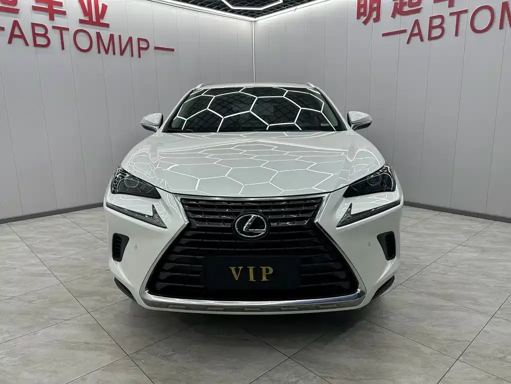Lexus NX 2021 из CN, фото 4