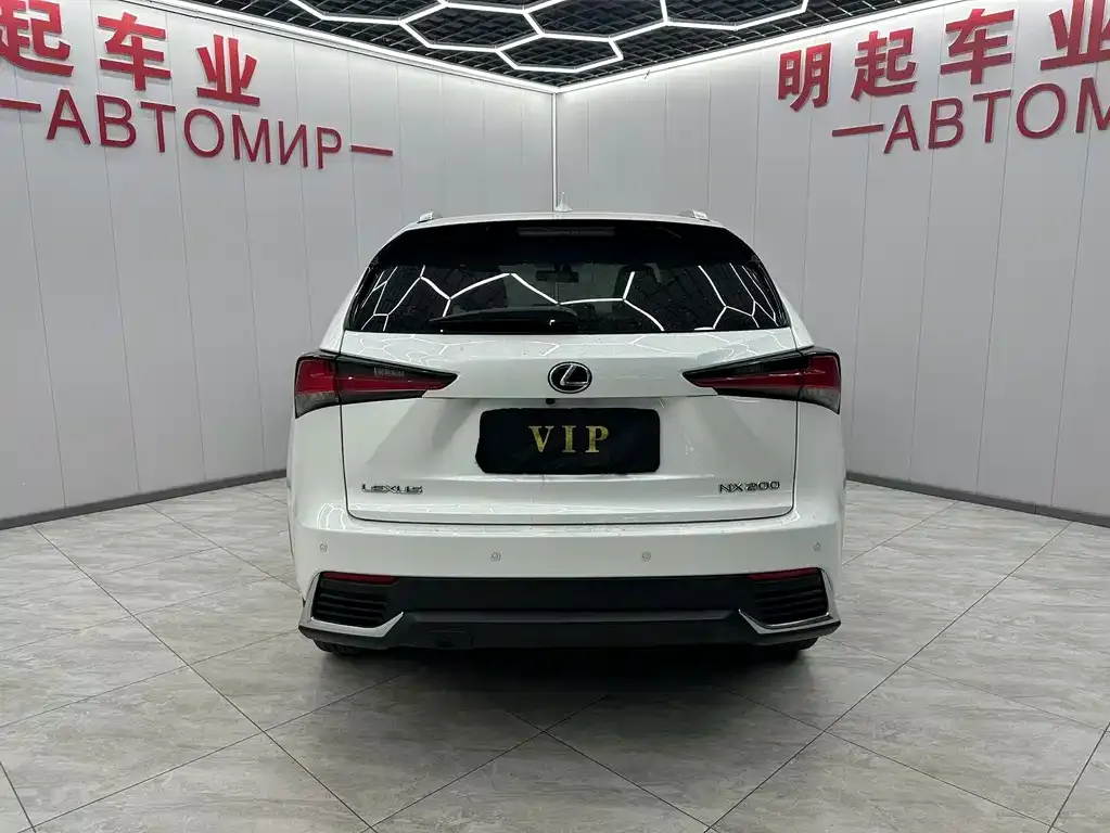Lexus NX 2021 из CN, фото 6