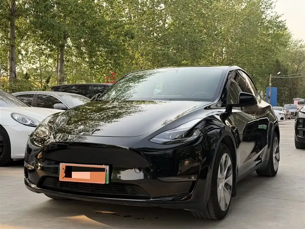 Tesla Model Y 2021 из CN, фото 1