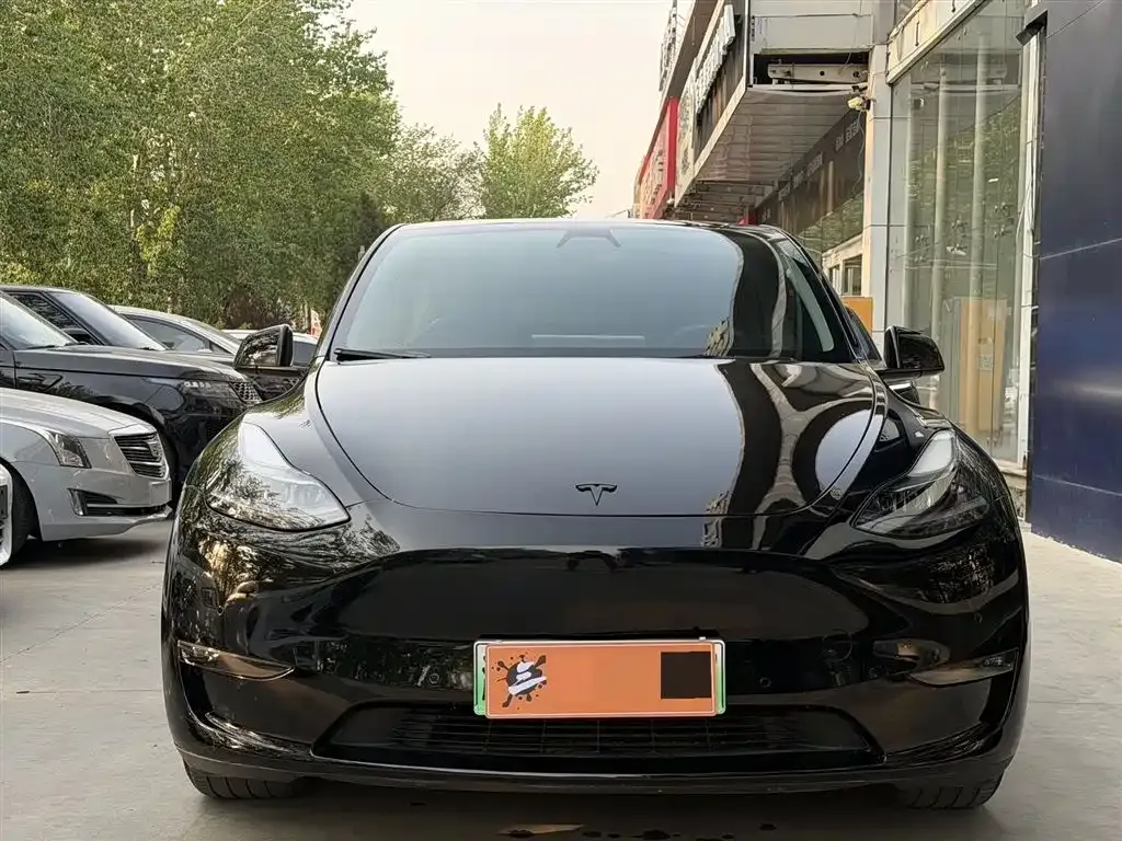 Tesla Model Y 2021 из CN, фото 3