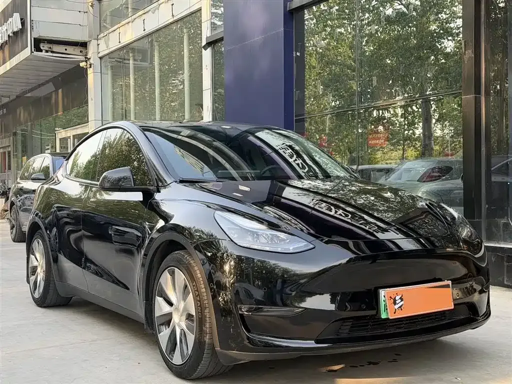 Tesla Model Y 2021 из CN, фото 8