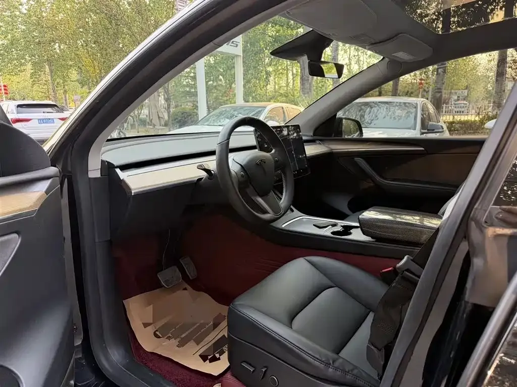Tesla Model Y 2021 из CN, фото 9