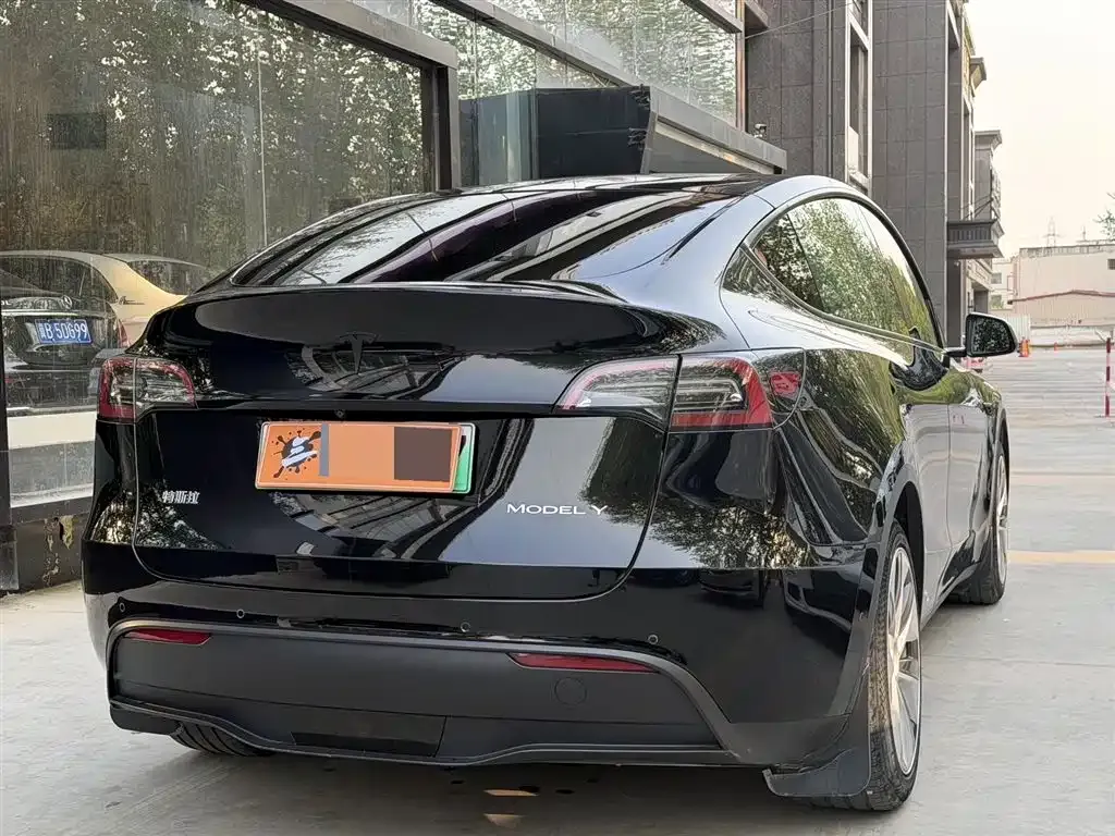 Tesla Model Y 2021 из CN, фото 2