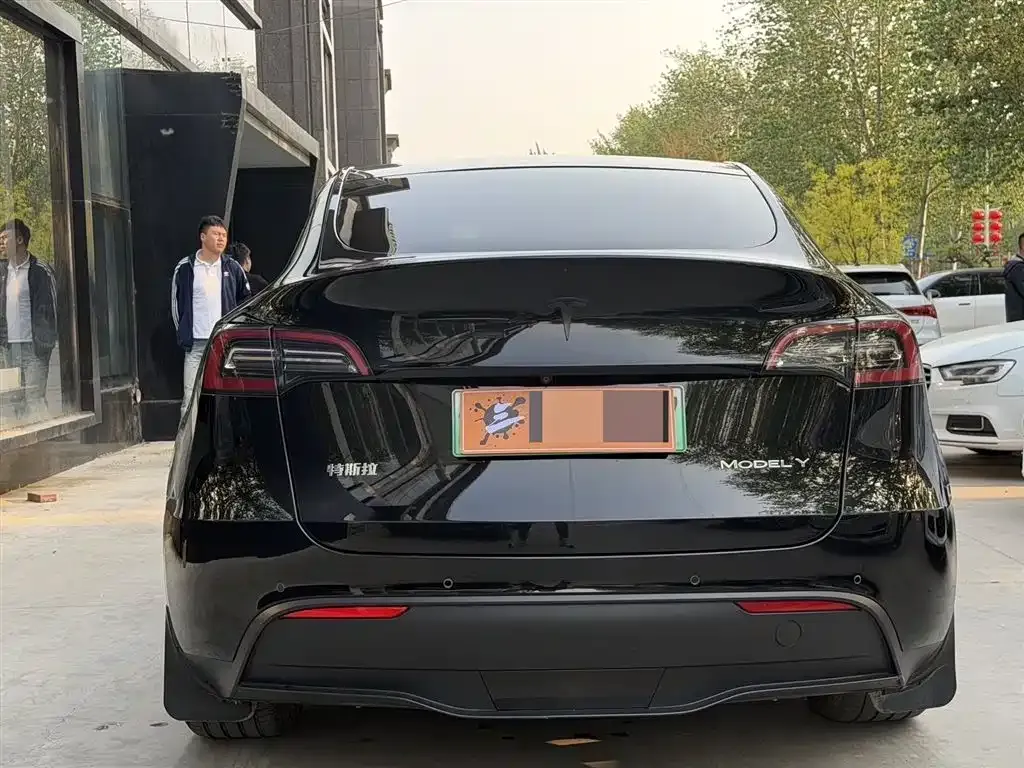 Tesla Model Y 2021 из CN, фото 6