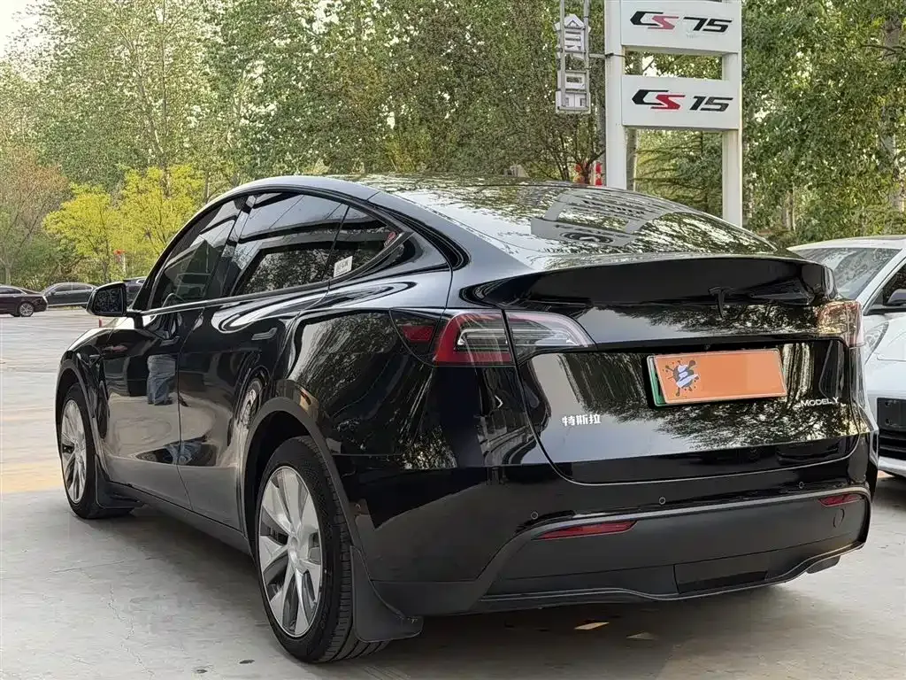 Tesla Model Y 2021 из CN, фото 4