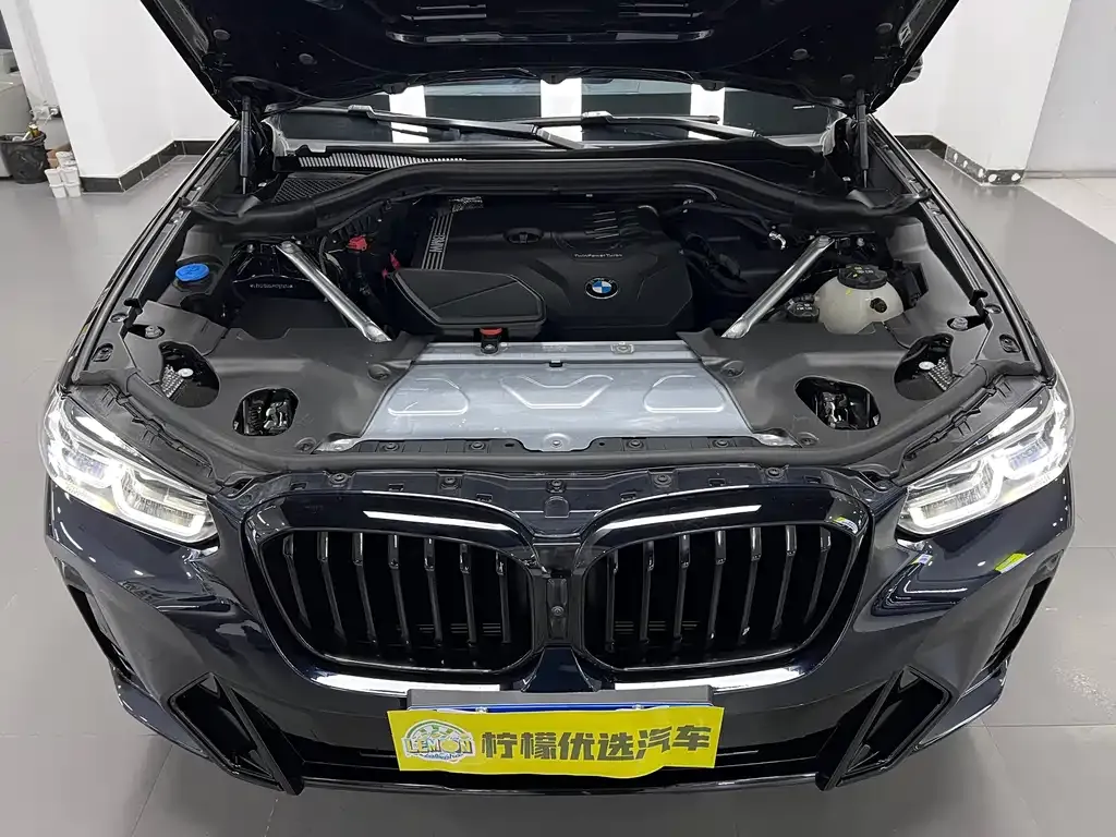 BMW X3 2023 из CN, фото 6
