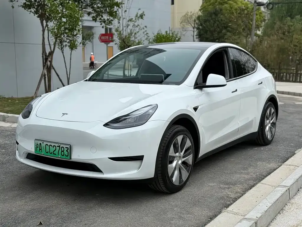 Tesla Model Y 2023 из CN, фото 1