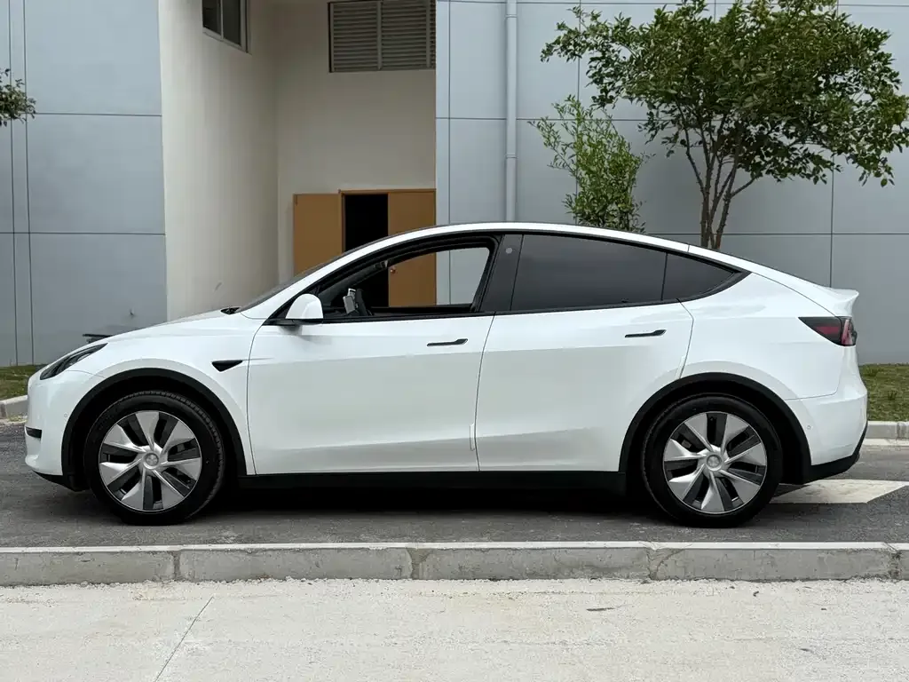 Tesla Model Y 2023 из CN, фото 3