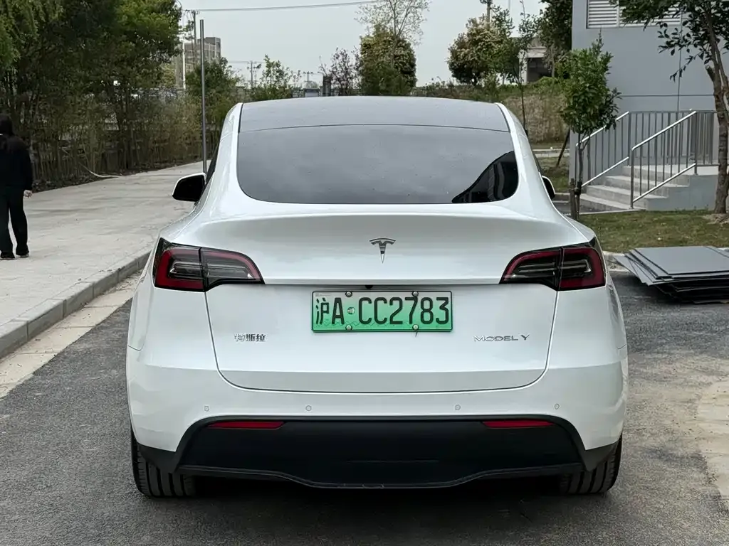 Tesla Model Y 2023 из CN, фото 6