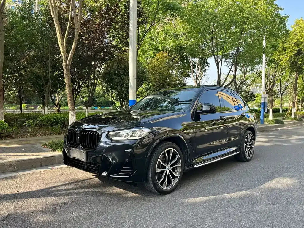 BMW X3 — фото 1