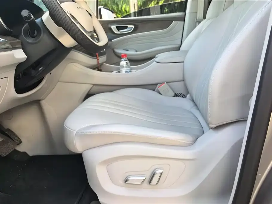 Roewe iMAX8 New Energy 2024 из CN, фото 9
