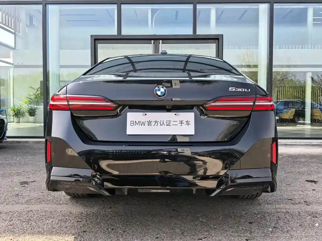 BMW 5 Series 2025 из CN, фото 9