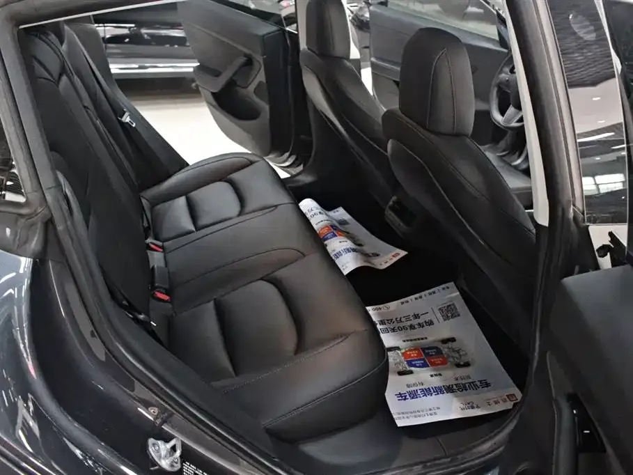 Tesla Model 3 2021 из CN, фото 3