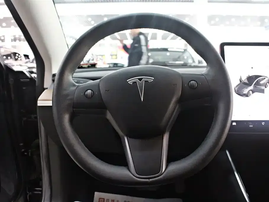Tesla Model 3 2021 из CN, фото 8
