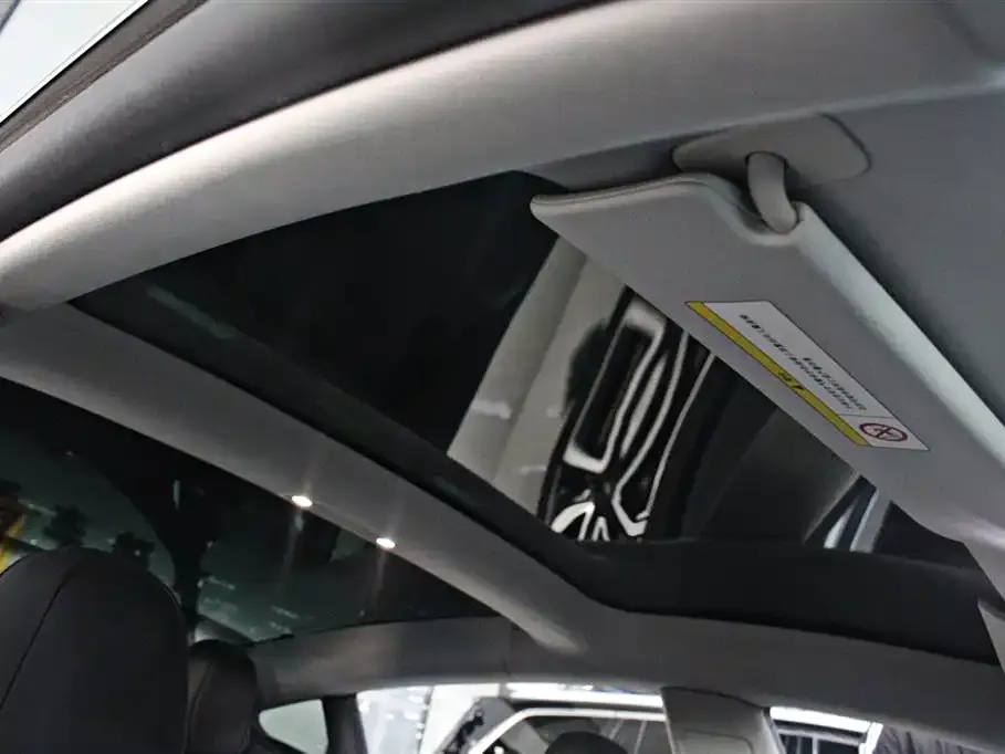 Tesla Model 3 2021 из CN, фото 4