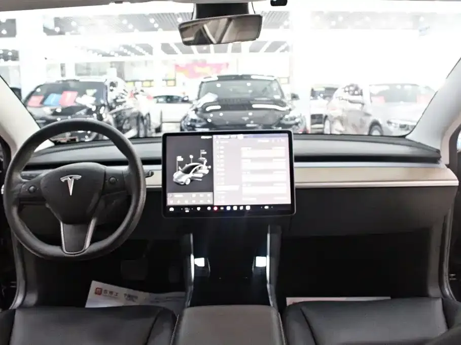 Tesla Model 3 2021 из CN, фото 2