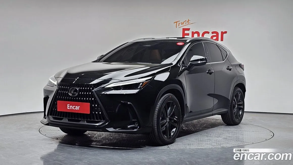 Lexus NX 2024 из KR, фото 1