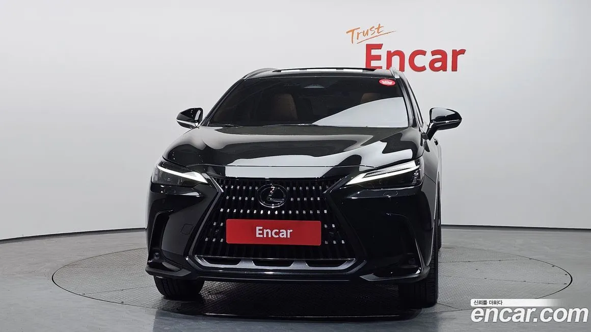 Lexus NX 2024 из KR, фото 4